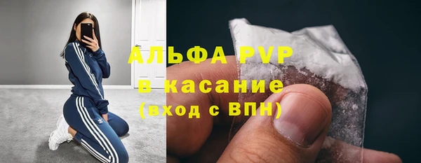 гашик Сатка