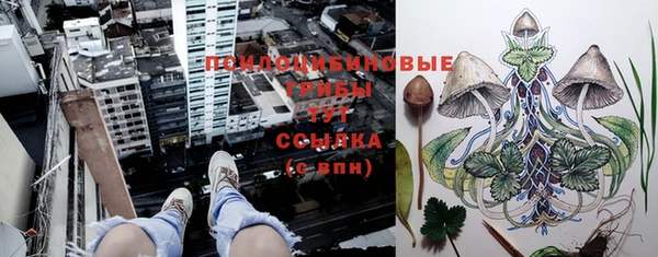 гашик Сатка