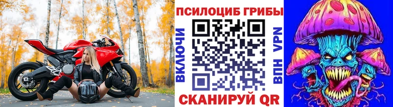купить наркотик  Курчалой  ссылка на мегу   Псилоцибиновые грибы ЛСД 